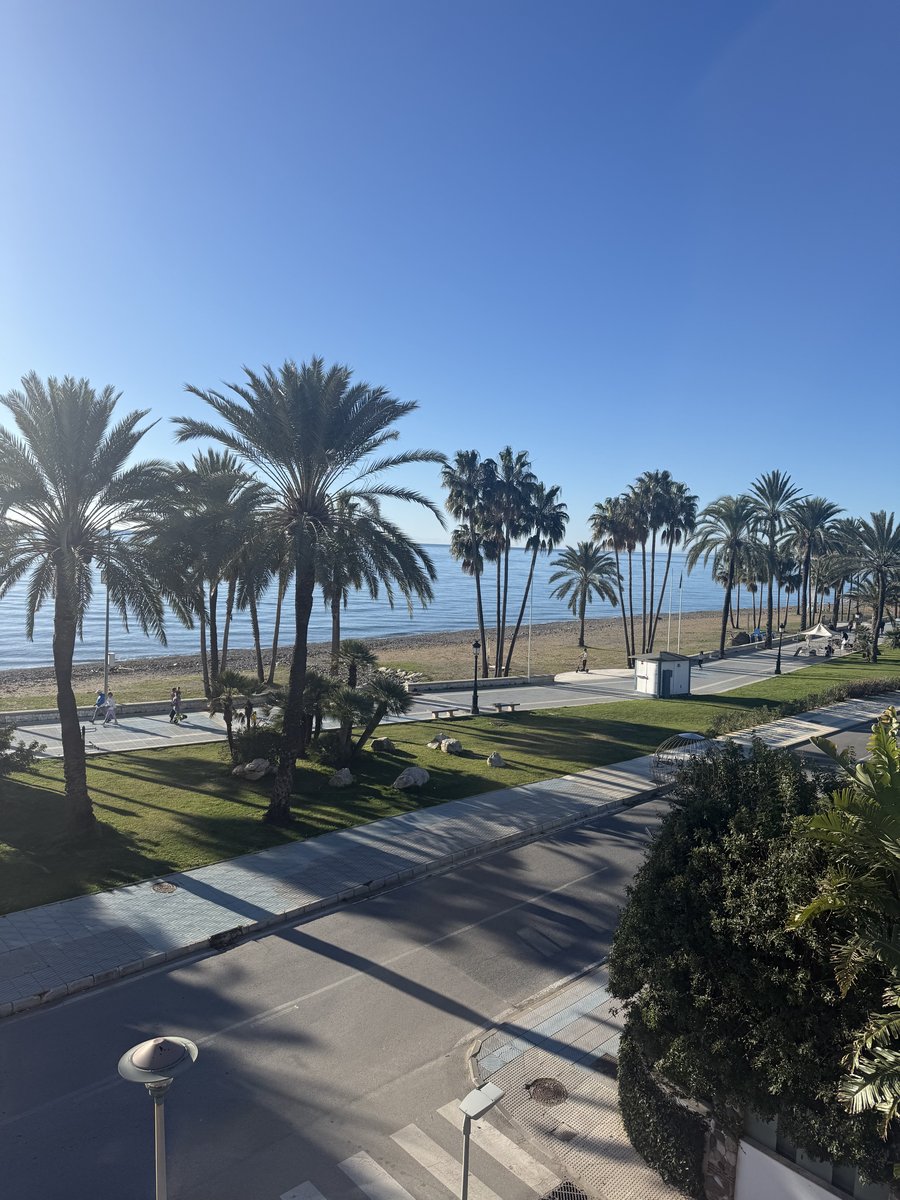 Palmestrand i Marbella med Middelhavet